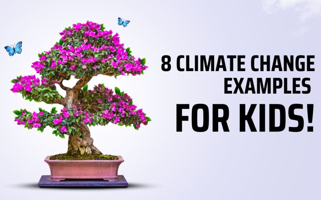 8 Climate Change Examples For Kids!