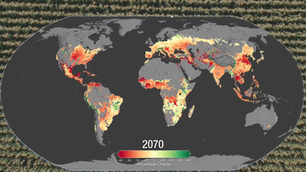 Climate Change Threatens Corn Production by 2030, Wheat May Benefit – NASA Study