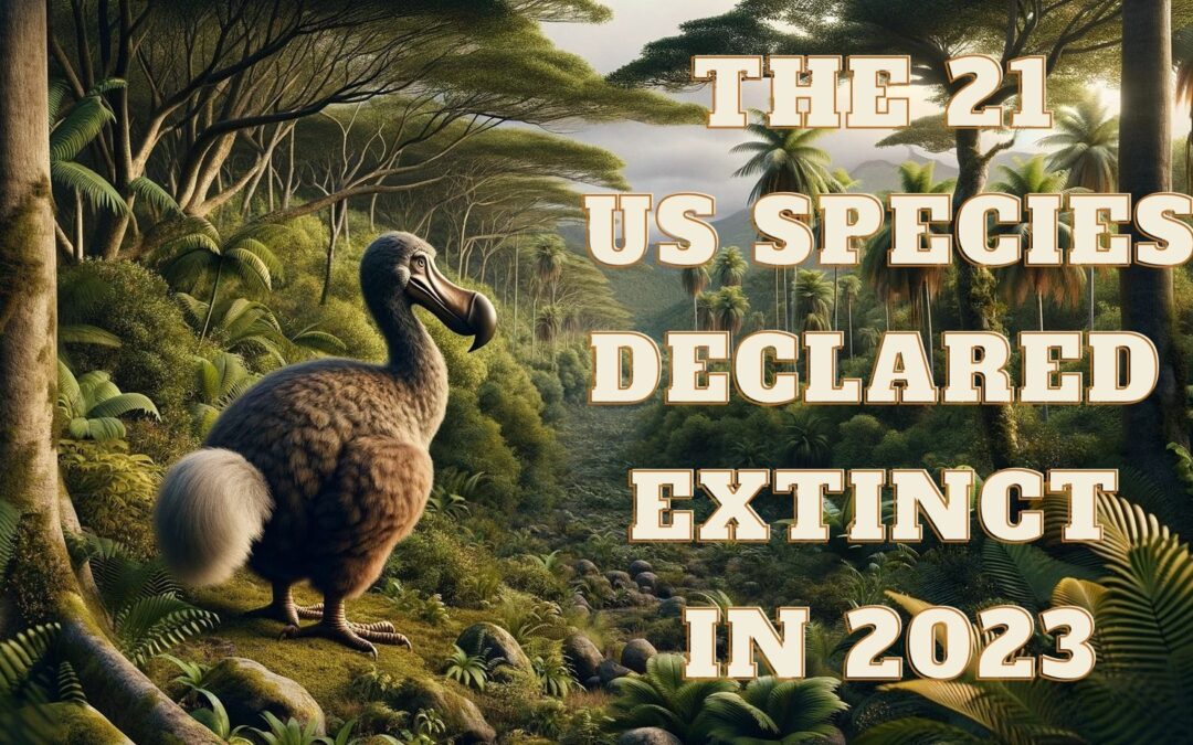 The 21 US Species Declared Extinct In 2023